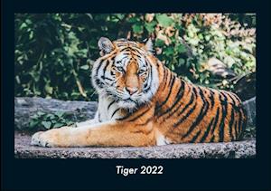 Tiger 2022 Fotokalender DIN A4