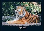 Tiger 2022 Fotokalender DIN A4