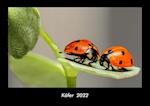 Käfer  2022 Fotokalender DIN A3