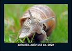 Schnecke, Käfer und Co. 2022 Fotokalender DIN A5