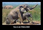 Tiere in der Wildnis 2022 Fotokalender DIN A3