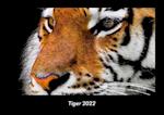 Tiger 2022 Fotokalender DIN A3