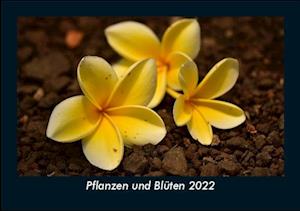 Pflanzen und Blüten 2022 Fotokalender DIN A5