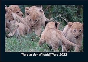 Tiere in der WildnisTiere 2022 Fotokalender DIN A5