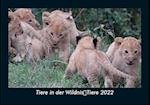 Tiere in der WildnisTiere 2022 Fotokalender DIN A5