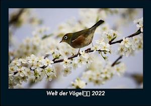 Welt der Vögel 2022 Fotokalender DIN A5