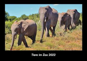 Tiere im Zoo 2022 Fotokalender DIN A3