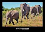 Tiere im Zoo 2022 Fotokalender DIN A3