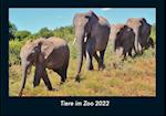 Tiere im Zoo 2022 Fotokalender DIN A4