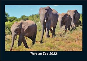 Tiere im Zoo 2022 Fotokalender DIN A5