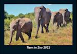 Tiere im Zoo 2022 Fotokalender DIN A5