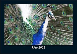Pfau 2022 Fotokalender DIN A5
