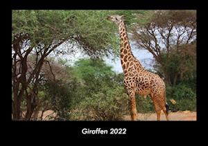 Giraffen 2022 Fotokalender DIN A3