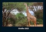 Giraffen 2022 Fotokalender DIN A4