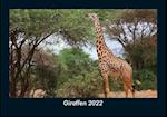 Giraffen 2022 Fotokalender DIN A5