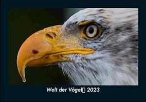 Welt der Vögel 2023 Fotokalender DIN A5