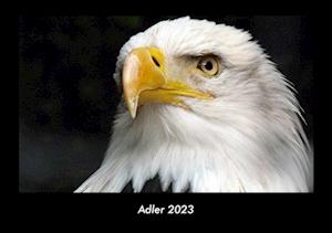 Adler 2023 Fotokalender DIN A3