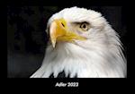 Adler 2023 Fotokalender DIN A3