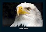 Adler 2023 Fotokalender DIN A4