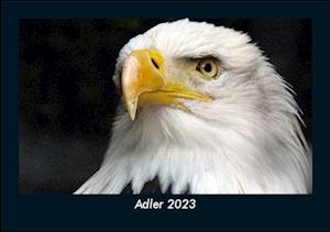 Adler 2023 Fotokalender DIN A5