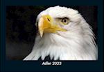 Adler 2023 Fotokalender DIN A5