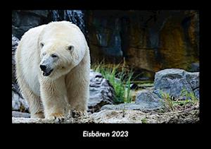 Eisbären 2023 Fotokalender DIN A3