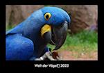 Welt der Vögel 2023 Fotokalender DIN A3