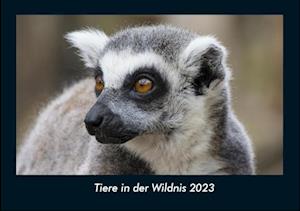 Tiere in der Wildnis 2023 Fotokalender DIN A4