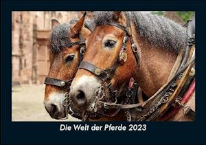 Die Welt der Pferde 2023 Fotokalender DIN A5