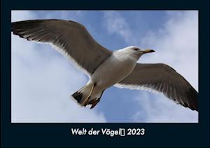 Welt der Vögel 2023 Fotokalender DIN A4