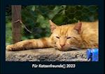 Für Katzenfreunde 2023 Fotokalender DIN A4