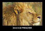 Löwen in der Wildnis 2023 Fotokalender DIN A3