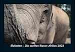 Elefanten - Die sanften Riesen Afrikas 2023 Fotokalender DIN A5