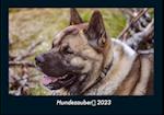 Hundezauber 2023 Fotokalender DIN A4