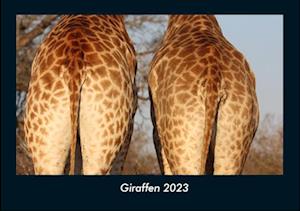 Giraffen 2023 Fotokalender DIN A4