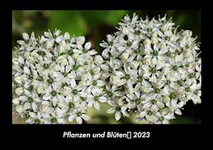 Pflanzen und Blüten 2023 Fotokalender DIN A3