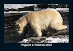 Pinguine & Eisbären 2023 Fotokalender DIN A5