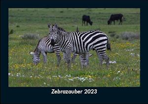 Zebrazauber 2023 Fotokalender DIN A5