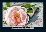 Strahlend schöne Rosen 2023 Fotokalender DIN A5