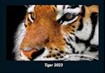 Tiger 2023 Fotokalender DIN A4