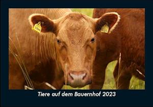 Tiere auf dem Bauernhof 2023 Fotokalender DIN A5