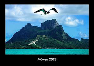 Möwen 2023 Fotokalender DIN A3