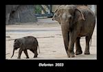 Elefanten  2023 Fotokalender DIN A3