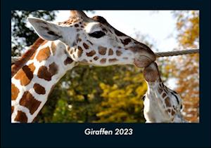 Giraffen 2023 Fotokalender DIN A4