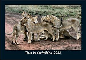 Tiere in der Wildnis 2023 Fotokalender DIN A5