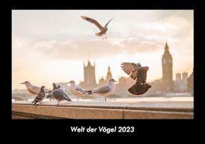 Welt der Vögel 2023 Fotokalender DIN A3