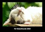 Für Katzenfreunde 2023 Fotokalender DIN A3