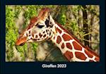 Giraffen 2023 Fotokalender DIN A4