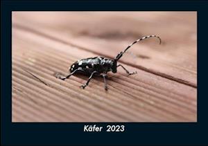 Käfer  2023 Fotokalender DIN A5