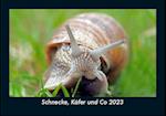 Schnecke, Käfer und Co 2023 Fotokalender DIN A5